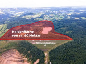 Fotomontage: Steinbruch Bärenstein, © BI Bärenstein, 2023