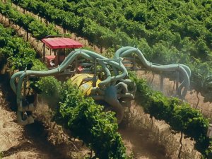 © Foto: Toxic harvest