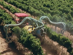 © Foto: Toxic harvest