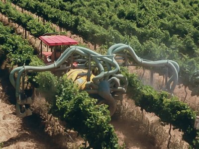 © Foto: Toxic harvest